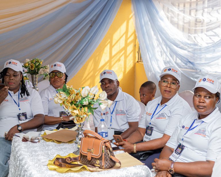 Olusegun Fadare Empowerment Foundation — programme highlights