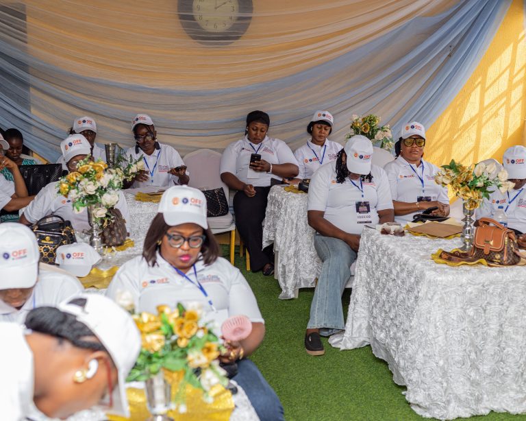 Olusegun Fadare Empowerment Foundation — programme highlights
